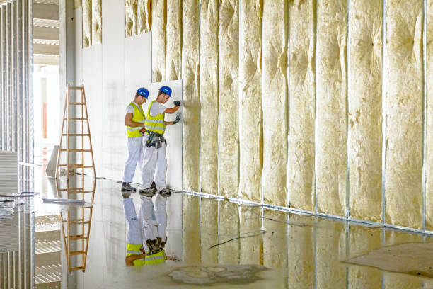 Best Commercial Insulation in Teutopolis, IL